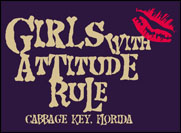 JH2013 Attitude Rules